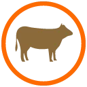 Kurban
